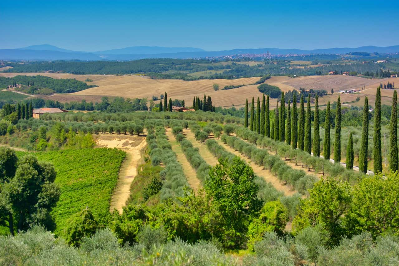 A unique vacation in sunny Tuscany