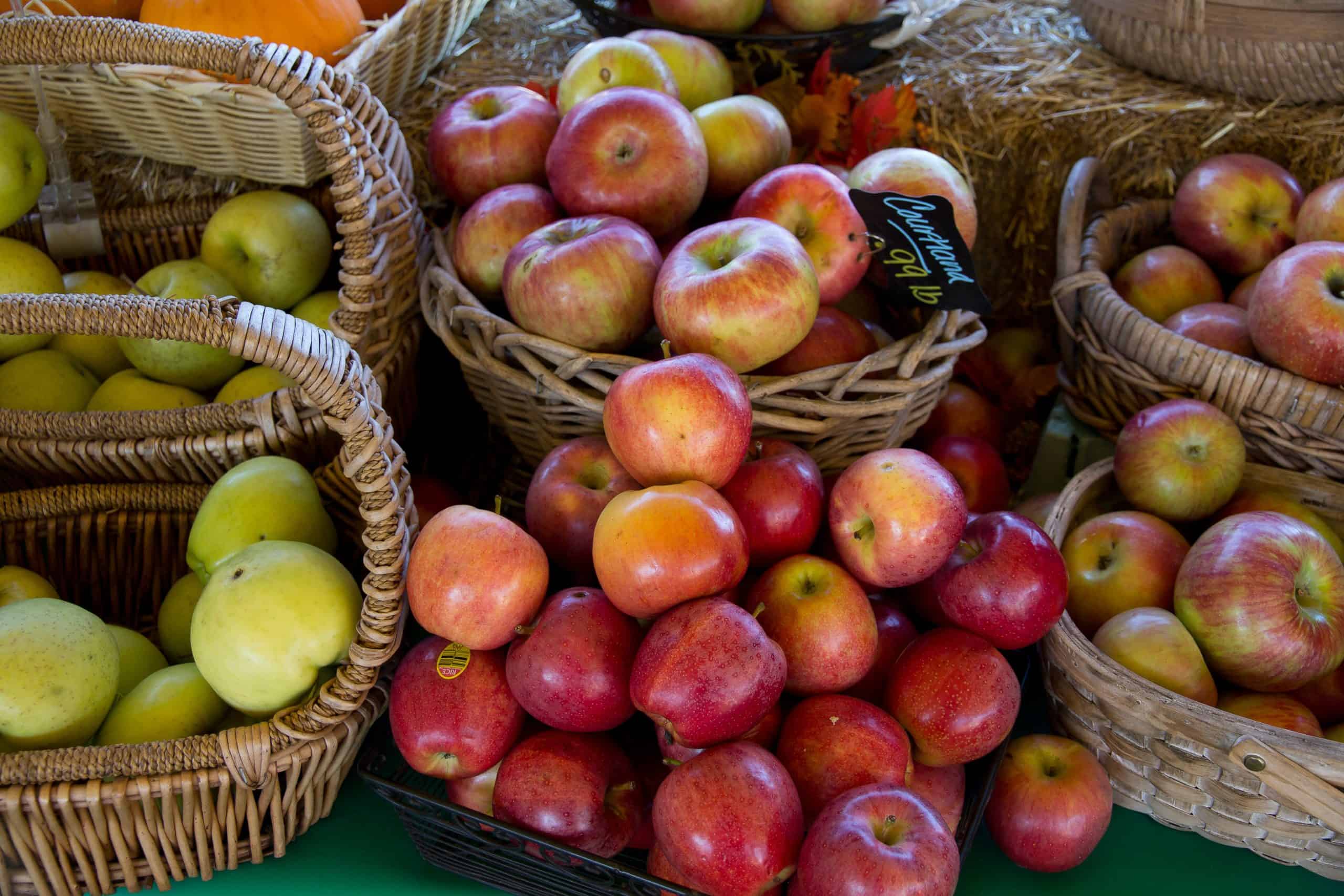 How to eat in the fall?