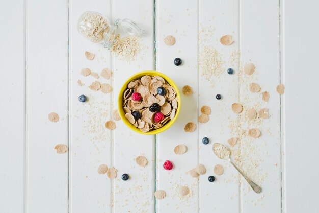 Exploring the world of sustainable breakfast cereals with CrispyFood Nordic