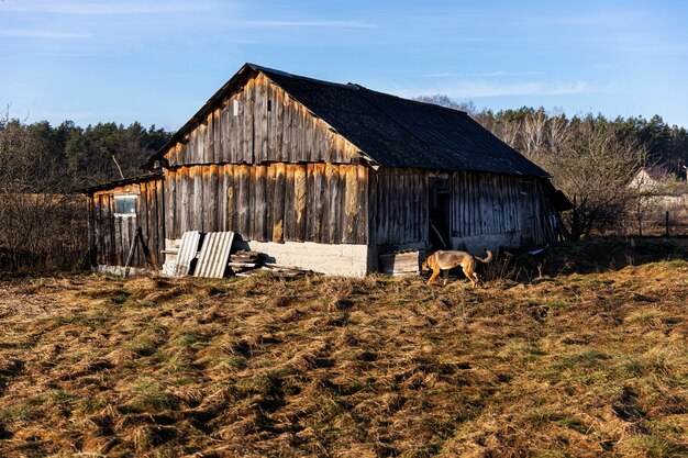 What Are the Key Benefits of Choosing a Custom Pole Barn for Your Property?